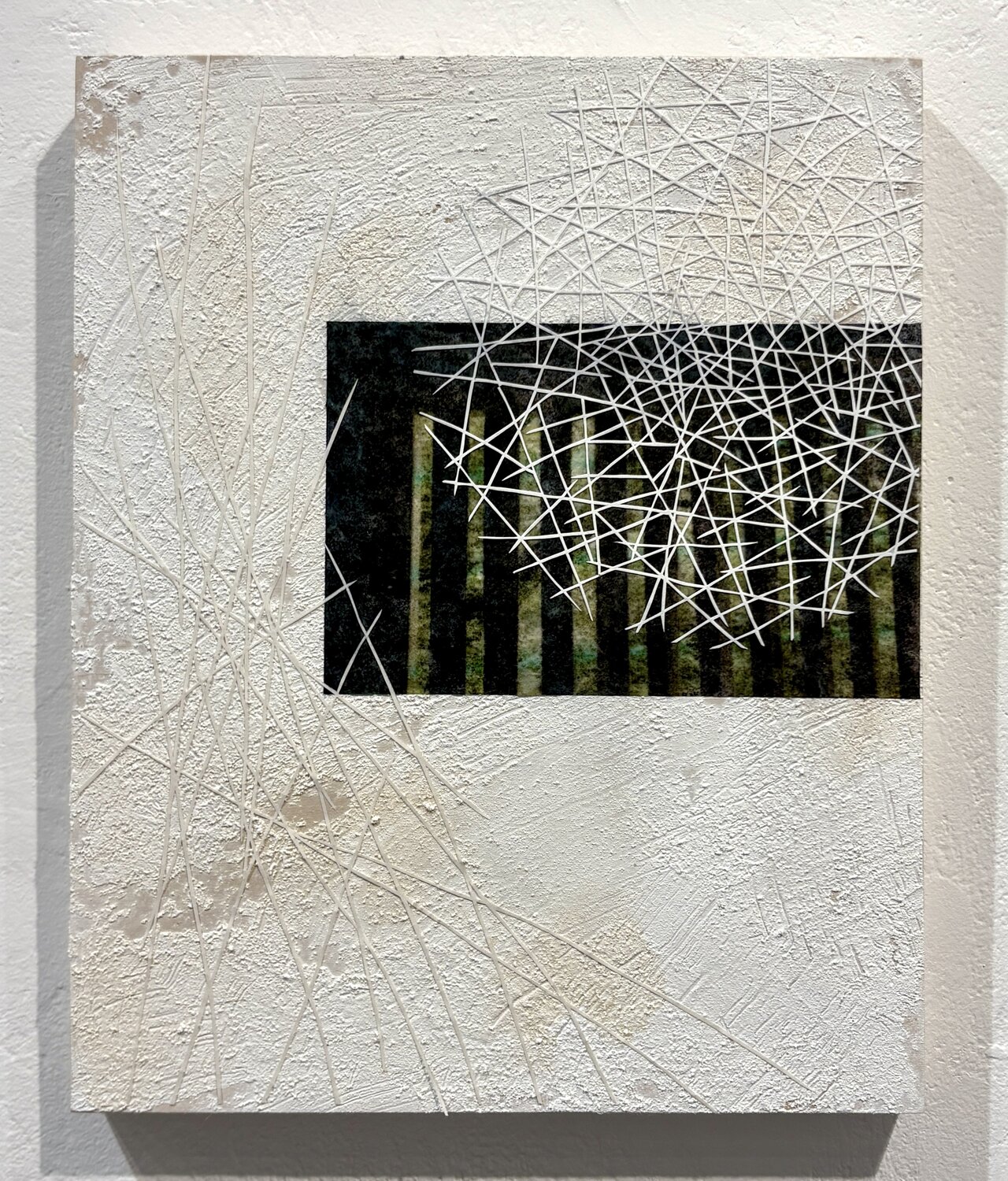 Sachiko Tanouchiの作品画像